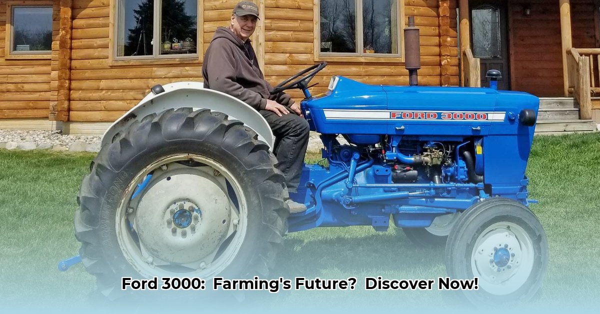 tractor-ford-3000